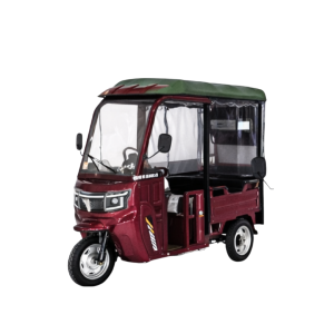 Triciclo hibrido Red Fenix-0126-Carga