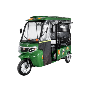 Triciclo hibrido Green Fenix-0126-Pasajero