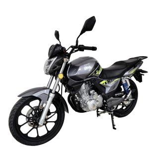 MOTOCICLETA | FENIX SPORT | SILVER